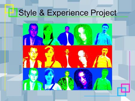 Style & Experience Project. INTRODUCTION About the group About the project.