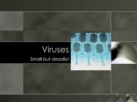 Viruses Small but deadly!. The Black Death o Also known as the Black Plague, was a devastating pandemic that first struck Europe in the mid-late-14th.