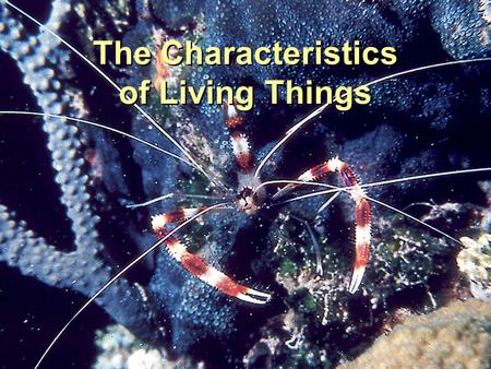 The Characteristics of Living Things