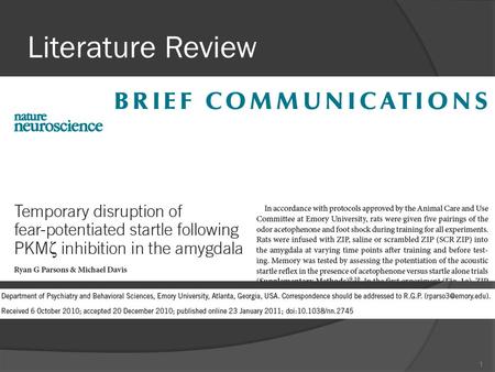 Literature Review 1. Background Keywords:  PKMζ protein kinase M zeta, constitutively active form of an atypical protein kinase C (PKC) isozyme  ZIP.