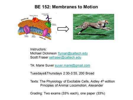 BE 152: Membranes to Motion Instructors: Michael Dickinson Scott Fraser TA: