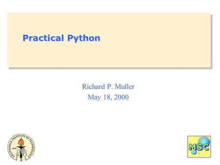 Practical Python Richard P. Muller May 18, 2000. Fundamentals.