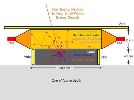         PMT Liquid Scintillator Gadolinium Loaded Lead Veto Hadronic Shower Liberated Neutrons High Energy Neutron No Veto, Small Prompt Energy.