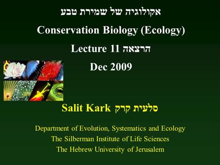 Salit Kark סלעית קרק Department of Evolution, Systematics and Ecology The Silberman Institute of Life Sciences The Hebrew University of Jerusalem אקולוגיה.