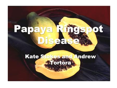 Cause Papaya ringspot virus-type P Occurs as 2 strains –Type P infects both papaya and cucurbits such as squash, pumpkin, cucumber, and watermelon –Type.