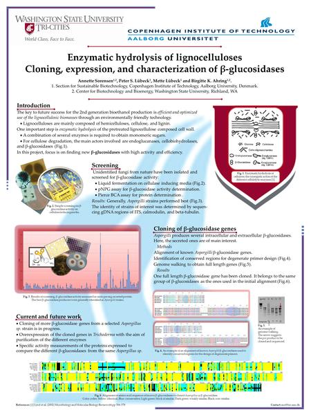 Enzymatic hydrolysis of lignocelluloses Cloning, expression, and characterization of β-glucosidases Annette Sorensen 1,2, Peter S. Lübeck 1, Mette Lübeck.