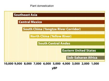 Plant domestication. Agriculture  permanent towns, cities Catalh ö y ü k, Turkey: 8,000 yBP.