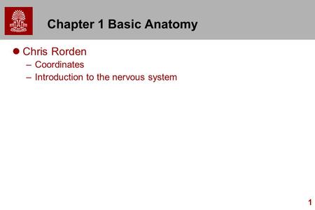 Chapter 1 Basic Anatomy Chris Rorden Coordinates