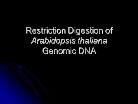 Restriction Digestion of Arabidopsis thaliana Genomic DNA