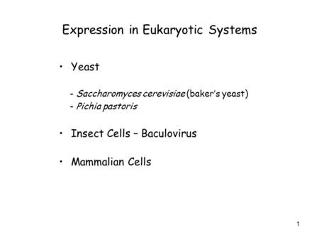 Expression in Eukaryotic Systems