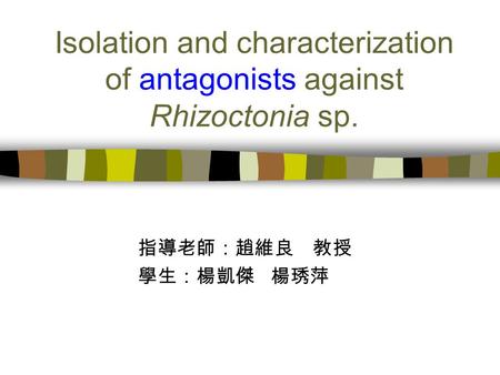 Isolation and characterization of antagonists against Rhizoctonia sp. 指導老師：趙維良 教授 學生：楊凱傑 楊琇萍.