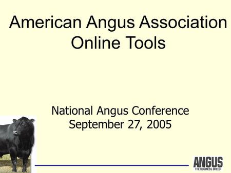 National Angus Conference September 27, 2005 American Angus Association Online Tools.