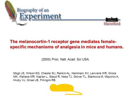 The melanocortin-1 receptor gene mediates female- specific mechanisms of analgesia in mice and humans. (2003) Proc. Natl. Acad. Sci USA. Mogil JS, Wilson.