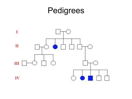 Pedigrees.