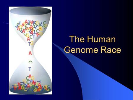 The Human Genome Race. Collins vs. Venter Collins Venter.