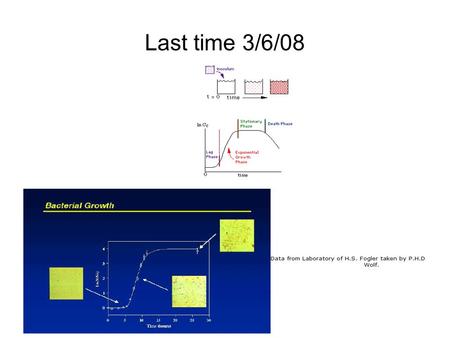 Last time 3/6/08. D=v o / V Bioreaction Engineering Wash Out: 1.) Neglect Death Rate and Cell Maintenance 2.) Steady State.