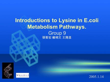 Introductions to Lysine in E.coli Metabolism Pathways. Group 9 張智宏 楊翊文 王翔昱 2005.1.14.