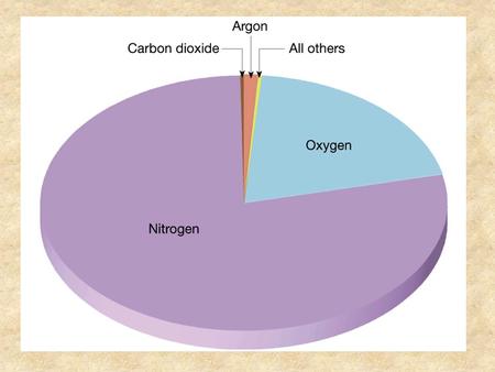 THE PRIMORDIAL EARTH Hadean and Archean Eons Evidence of Anoxia