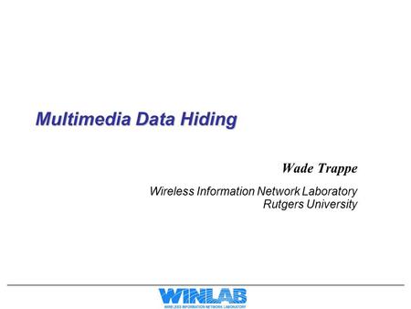 Multimedia Data Hiding