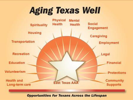 Health and Long-term care Volunteerism Recreation Education Spirituality Social Engagement Transportation Physical Health Mental Health Housing Caregiving.