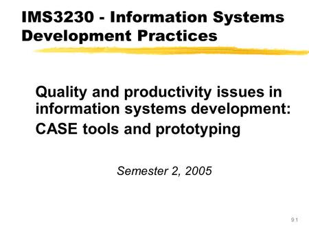 IMS Information Systems Development Practices