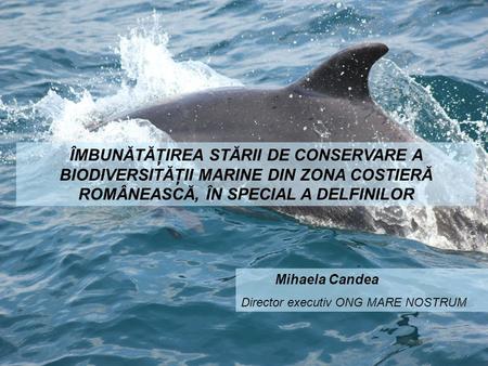 ÎMBUNĂTĂŢIREA STĂRII DE CONSERVARE A BIODIVERSITĂŢII MARINE DIN ZONA COSTIERĂ ROMÂNEASCĂ, ÎN SPECIAL A DELFINILOR Mihaela Candea Director executiv ONG.