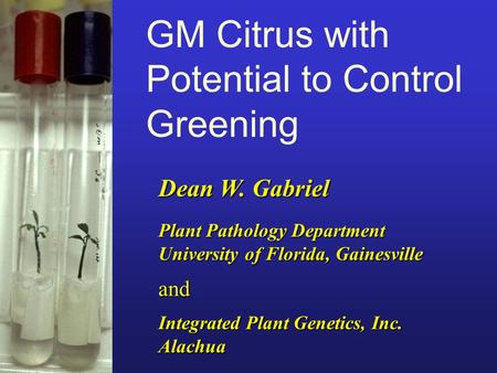 Dean W. Gabriel GM Citrus with Potential to Control Greening Integrated Plant Genetics, Inc. Alachua and Plant Pathology Department University of Florida,