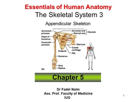 Ass. Prof. Faculty of Medicine