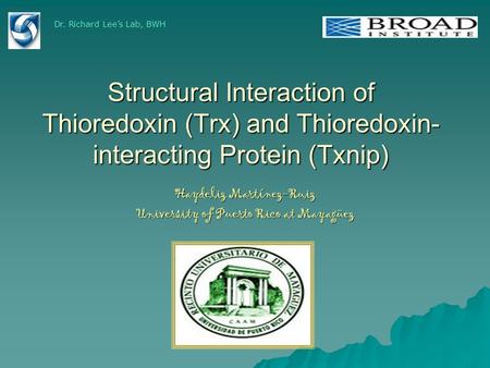 Structural Interaction of Thioredoxin (Trx) and Thioredoxin- interacting Protein (Txnip) Haydeliz Martínez-Ruiz University of Puerto Rico at Mayagüez Dr.