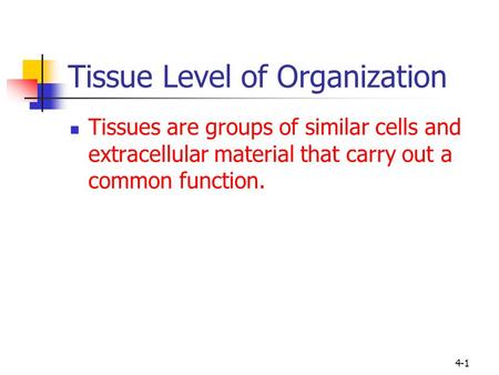 Tissue Level of Organization