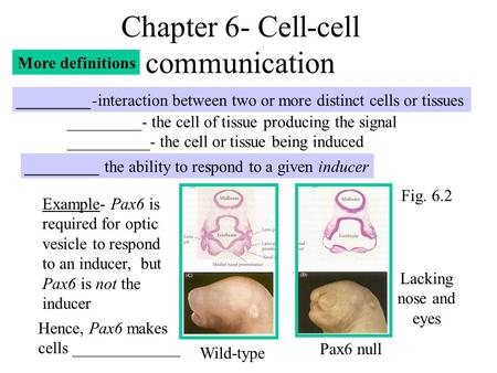 Chapter 6- Cell-cell communication _________-interaction between two or more distinct cells or tissues _________- the cell of tissue producing the signal.