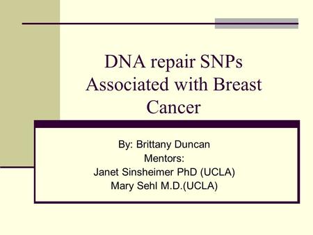 By: Brittany Duncan Mentors: Janet Sinsheimer PhD (UCLA) Mary Sehl M.D.(UCLA) DNA repair SNPs Associated with Breast Cancer.