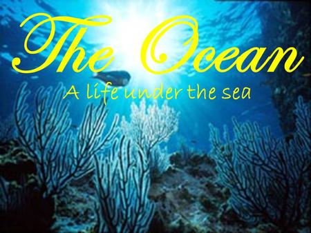 The Ocean A life under the sea. Just the facts… The ocean covers about 70% of the earths surface and contains 97% of the earth’s water supply! There are.