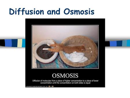 Diffusion and Osmosis.