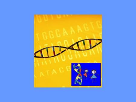 R ESEARCH G ENOME B IOINFORMATICS L AB R ESEARCH at G ENOME B IOINFORMATICS L AB Josep F. Abril Ferrando and Genís Parra Farré Genome BioInformatics Research.