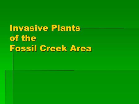 Invasive Plants of the Fossil Creek Area. List of Invasive Species Trees   Tree of heaven   Russian olive   Siberian elm   Tamarisk Shrubs/Vines.