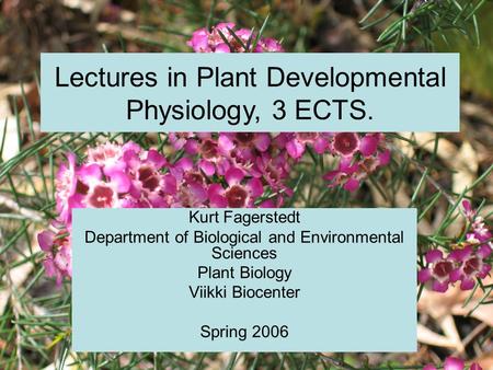 Kurt Fagerstedt Department of Biological and Environmental Sciences Plant Biology Viikki Biocenter Spring 2006 Lectures in Plant Developmental Physiology,