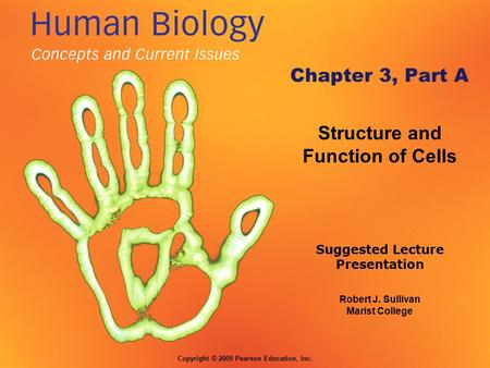 Robert J. Sullivan Marist College Suggested Lecture Presentation Copyright © 2009 Pearson Education, Inc. Chapter 3, Part A Structure and Function of Cells.