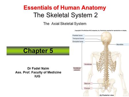 Ass. Prof. Faculty of Medicine