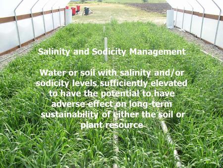 Salinity and Sodicity Management Water or soil with salinity and/or sodicity levels sufficiently elevated to have the potential to have adverse effect.