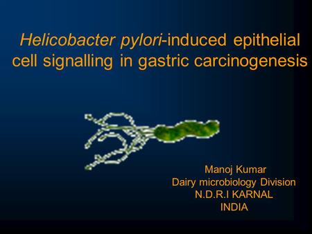 Helicobacter pylori-induced epithelial cell signalling in gastric carcinogenesis Manoj Kumar Dairy microbiology Division N.D.R.I KARNAL INDIA.