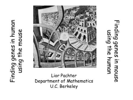 Finding genes in human using the mouse Finding genes in mouse using the human Lior Pachter Department of Mathematics U.C. Berkeley.