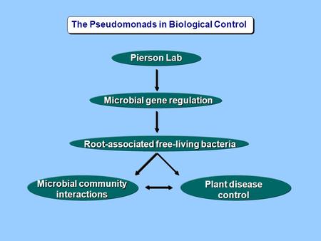 Microbial community interactions