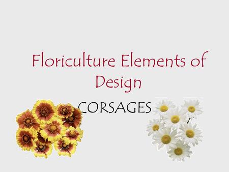 Floriculture Elements of Design