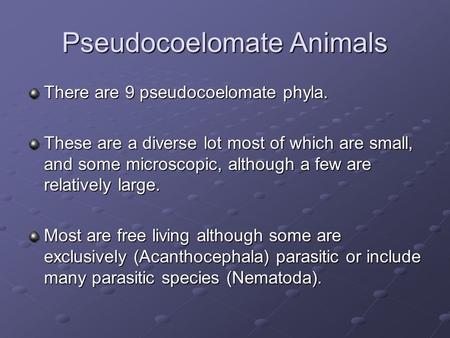 Pseudocoelomate Animals