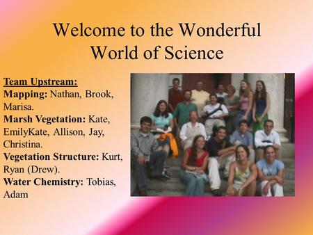 Welcome to the Wonderful World of Science Team Upstream: Mapping: Nathan, Brook, Marisa. Marsh Vegetation: Kate, EmilyKate, Allison, Jay, Christina. Vegetation.