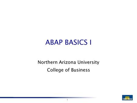 1 ABAP BASICS I Northern Arizona University College of Business.