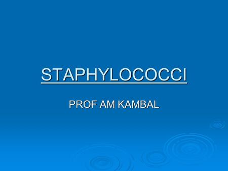 STAPHYLOCOCCI PROF AM KAMBAL. Staphylococci   Definition:   Gram +ve cocci in clusters, catalase positive.   Other gram positive cocci include Streptococci.