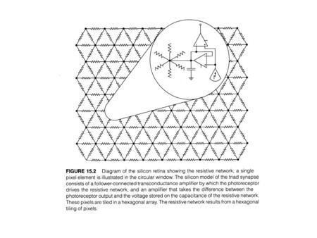 spatial bandpass filter Which is commonly used in computer vision to find visual edges to determine the shape of objects.