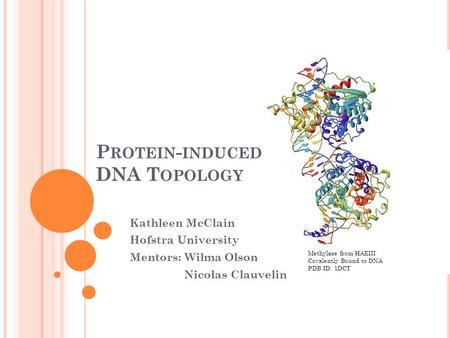 Protein-induced DNA Topology